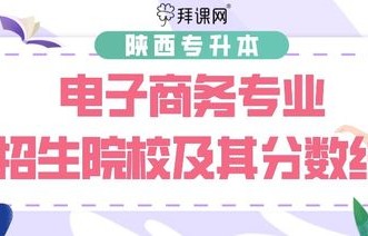 春考电子商务专业本科线