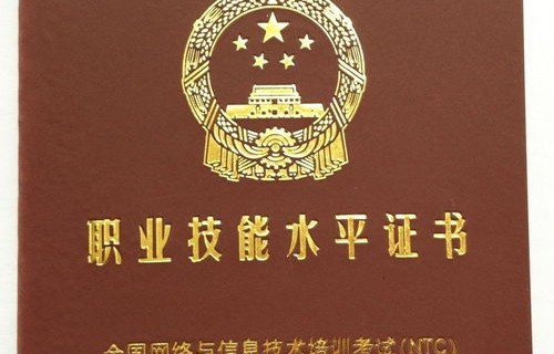 电子商务的专业证叫什么