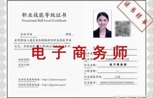 电子商务师专业是什么
