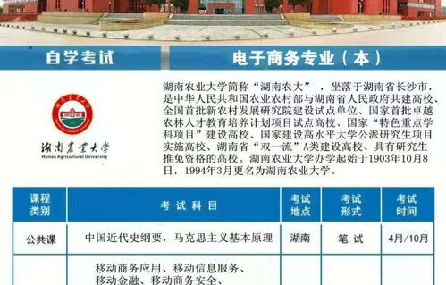 跨境电子商务专业升本升什么专业