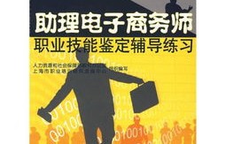 电子商务师的专业能力