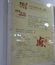 电子商务专业心得体会