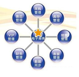 电子商务专业课自我评价