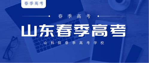 电子商务专业知识春考