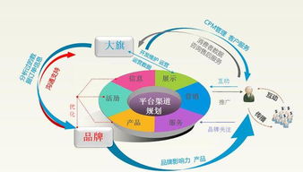 学电子商务前提是啥专业