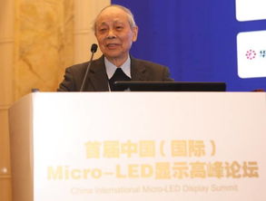 电子商务专业赵浩洋教授
