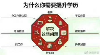 成人高考电子商务转专业