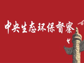 中央环保督察组：严禁“一刀切”