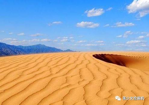中国如何将撒哈拉沙漠改造成甜菜农场