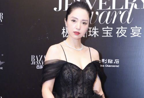 为什么内娱都在怀念朱媛媛