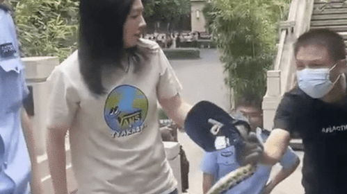 小姐姐徒手抓大蛇骑车到山上放生