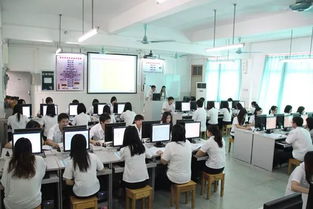 电子商务专业做程序员
