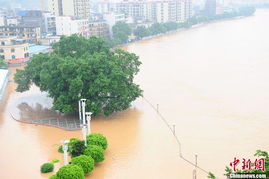 广东绥江怀集段遭遇建站以来最大洪水