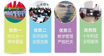 电子商务专业对口的主要岗位