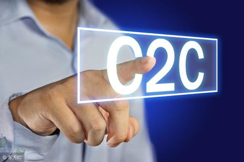c2c电子商务专业用语