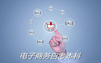 电子商务有几门专业课程